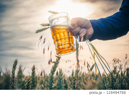 A mug of light beer in a hand against the sunset in a wheat field 128494788