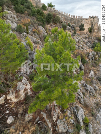fortress on a rock near the sea coast 128495254