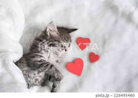 Adorable tabby kitten sleeps peacefully on soft white blanket beside three red hearts, symbolizing love and warmth Adorable tabby kitten sleeps peacefully on soft white blanket beside three red hearts, symbolizing love and warmth 128495460