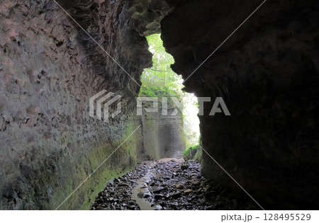 伊尾木洞の奥、シダの群落の谷への出口 伊尾木洞の奥、シダの群落の谷への出口 128495529