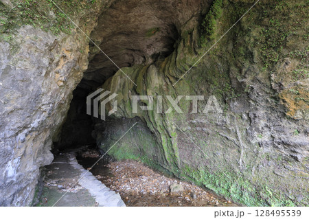 伊尾木洞入口 128495539