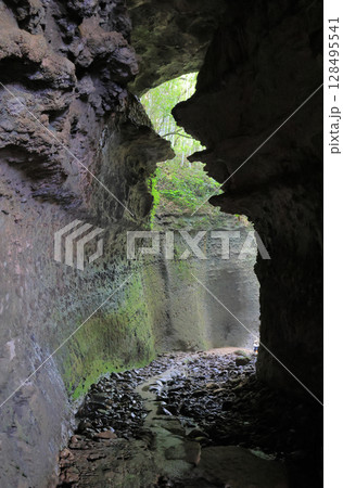 伊尾木洞の奥、シダの群落の谷への出口 128495541