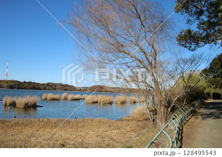 佐鳴湖公園の風景 佐鳴湖公園の風景 128495543