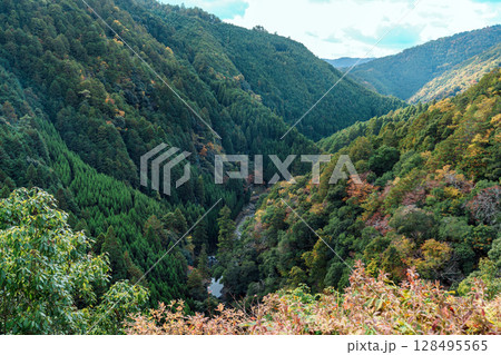 京都　神護寺　錦雲峡 128495565