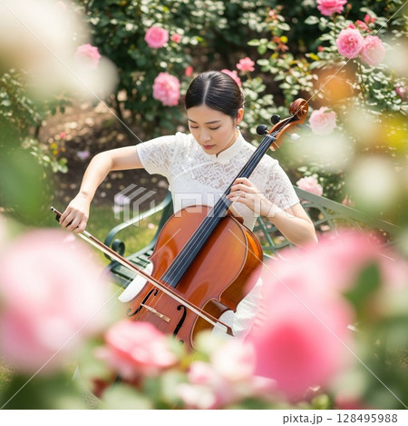 満開の薔薇園で白いチャイナドレスを着てチェロを演奏する女性　美女　可憐　清楚 128495988