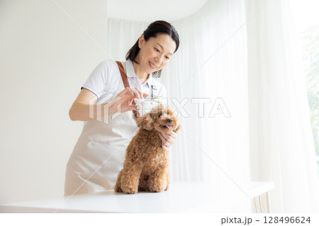 トリマー　トイプードルのトリミングをしているトリマー 128496624