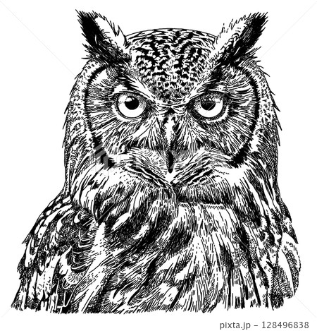 フクロウのペン画イラスト 128496838