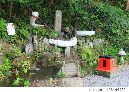 磯山弁財天 白蛇 磯山弁財天 白蛇 128496952