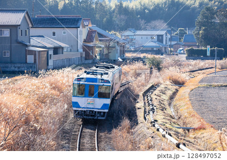 【牟岐線】田園地帯を駆け抜ける特急やくおうじ 128497052