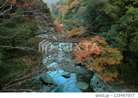 【徳島県】秋の紅葉した(祖谷のかずら橋) 【徳島県】秋の紅葉した(祖谷のかずら橋) 128497057