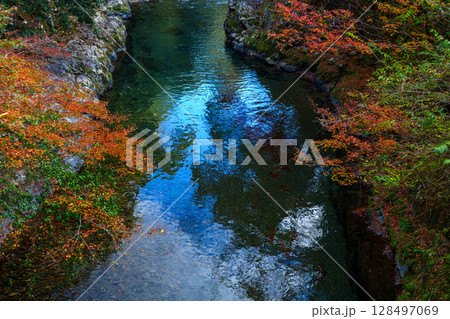 高雄の清滝川 128497069
