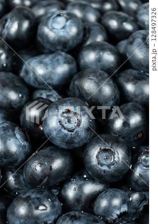 Vertical berry background of fresh blueberries with water droplets Vertical berry background of fresh blueberries with water droplets 128497326