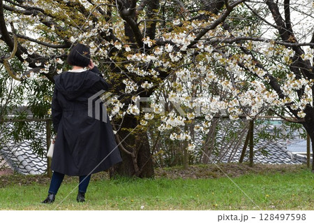 花井備中守によって築かれた大高城跡を歩く 128497598