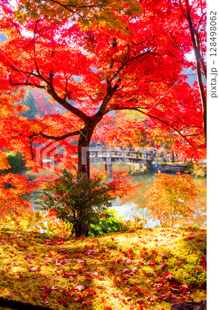 紅葉の永観堂　京都 128498062