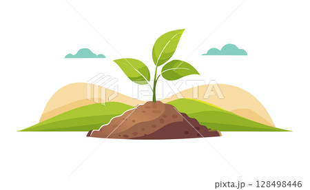 Green seedling growing on a hill landscape symbolizing growth environment and sustainability. 128498446