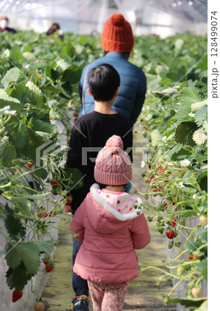 須金フルーツパーク、いちご狩り、グランピング、山口県 128499074