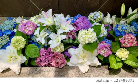 6月のカラフルな花手水(紫陽花・百合)〈菅生神社/愛知県岡崎市〉 6月のカラフルな花手水(紫陽花・百合)〈菅生神社/愛知県岡崎市〉 128499373