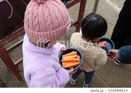 雪が積もる秋吉台自然動物公園、サファリランド、山口県、寒波、ゾウのエサやり 128499423