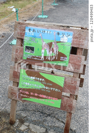 山口県】秋吉台自然動物公園サファリランド、ふれあい広場 128499483