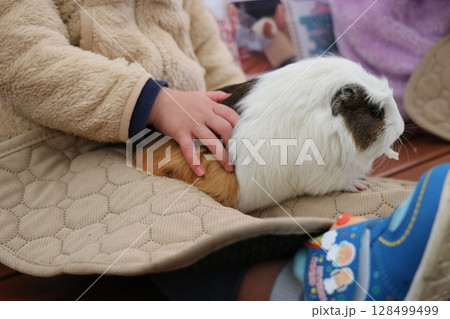 山口県】秋吉台自然動物公園サファリランド、ふれあい広場 128499499