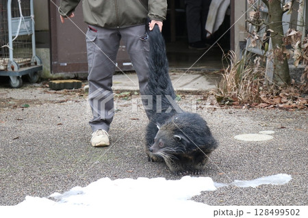 山口県】秋吉台自然動物公園サファリランド、ふれあい広場 128499502