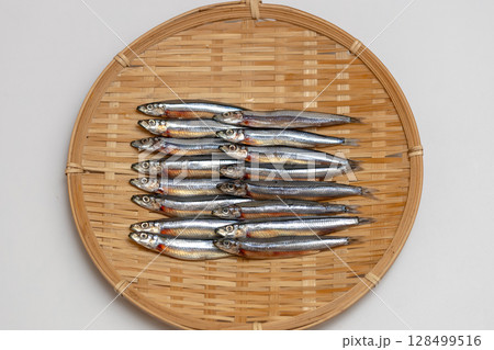 ザルに並べたきびなごの一夜干し 海産物の素材写真 ザルに並べたきびなごの一夜干し 海産物の素材写真 128499516