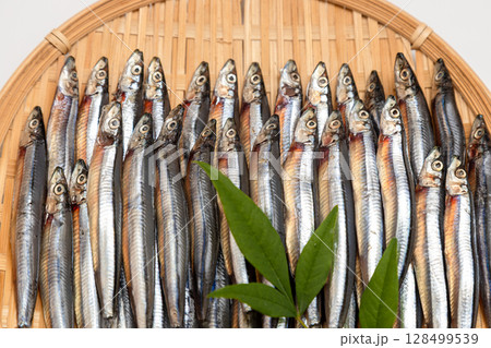 ザルに並べたきびなごの一夜干し　海産物の素材写真 128499539