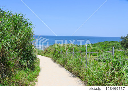 海へ続く道 128499587