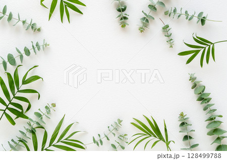 テーブルヤシとユーカリのグリーンフレーム 128499788