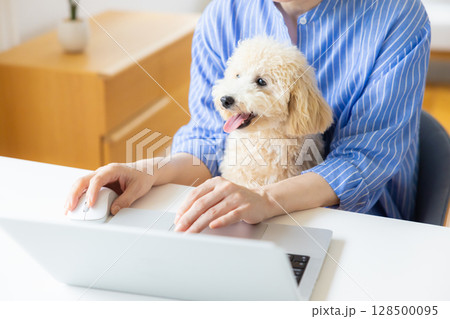 テレワーク　犬を抱っこしながら仕事をする女性 128500095