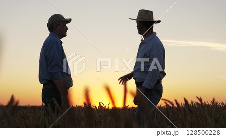 Farmers shaking hands in a wheat field at sunset, Partnership of two farmers in the golden wheat fields, Agreement sealed with a handshake amid ripe wheat, Two men exchanging handshakes in Farmers shaking hands in a wheat field at sunset, Partnership of two farmers in the golden wheat fields, Agreement sealed with a handshake amid ripe wheat, Two men exchanging handshakes in 128500228
