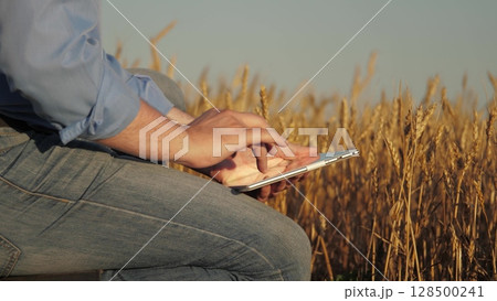 man sitting field tablet hand. holding pen piece paper, farmer examines wheat, digital tablet helps monitor wheat growth, intersection technology agriculture, Efficient wheat management Farmer man sitting field tablet hand. holding pen piece paper, farmer examines wheat, digital tablet helps monitor wheat growth, intersection technology agriculture, Efficient wheat management Farmer 128500241