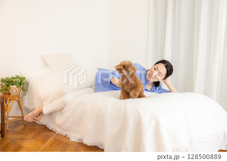 ペット　飼い主とベッドでくつろぐトイプードル 128500889