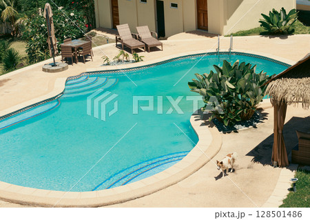 A serene outdoor pool area with lounge chairs and sun umbrella showing a relaxing summer scene 128501486