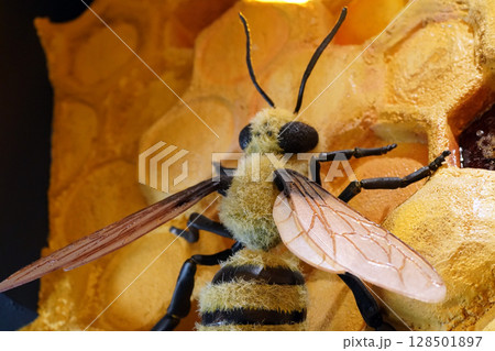 リアルなミツバチの模型:蜜蝋とハチミツの質感 リアルなミツバチの模型:蜜蝋とハチミツの質感 128501897