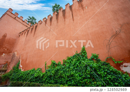 Sevilla Alcazar Walls with Ivy and Blue Sky View. 128502989