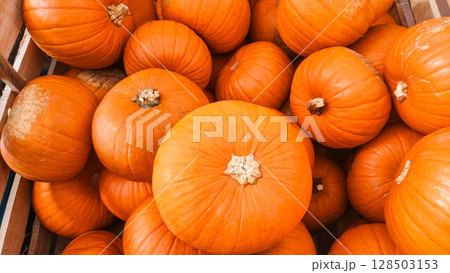 Orange pumpkins filling a wooden crate at farmers market 128503153