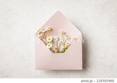Daisy chamomile flowers in beige pink envelope Daisy chamomile flowers in beige pink envelope 128505468