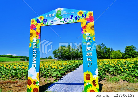 夏の北海道　北竜町ひまわりの里の風景 128506158