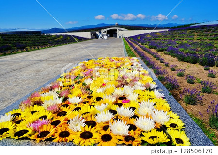 花手水のある風景 128506170