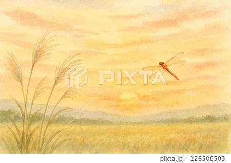 夕焼け　赤蜻蛉　ススキ 128506503