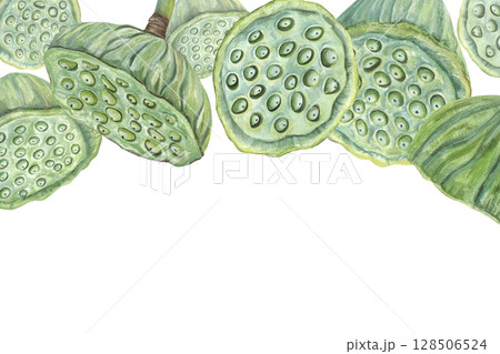 Green lotus seedpods horizontal watercolor frame isolated background. Tropical aquatic plants illustration. Water Lily pods border for cosmetic, food decor, invitations, packaging, Space for text. Green lotus seedpods horizontal watercolor frame isolated background. Tropical aquatic plants illustration. Water Lily pods border for cosmetic, food decor, invitations, packaging, Space for text. 128506524