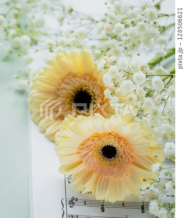 Romantic holiday music composition with tender gerberas on music notebook on light blue background. Music education, concert or hobby card. Dating or love concept. Soft focus style 128506621