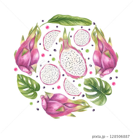 Watercolor pink pitaya fruits, monstera leaves, juice drops arranged evenly in circle isolated on white background. Tropical fruit and foliage illustration for poster, nature label, spa packaging. Watercolor pink pitaya fruits, monstera leaves, juice drops arranged evenly in circle isolated on white background. Tropical fruit and foliage illustration for poster, nature label, spa packaging. 128506887