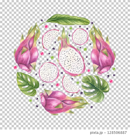 Watercolor pink pitaya fruits, monstera leaves, juice drops arranged evenly in circle isolated on white background. Tropical fruit and foliage illustration for poster, nature label, spa packaging. 128506887