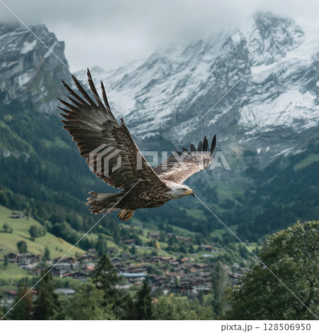 力強く翼を広げ、山岳地帯を滑空する鷲 128506950