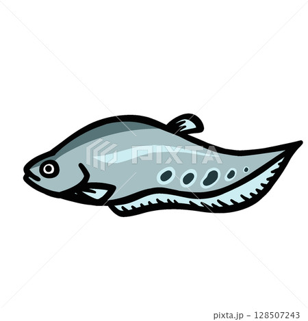 シンプルなナイフフィッシュのイラスト 128507243