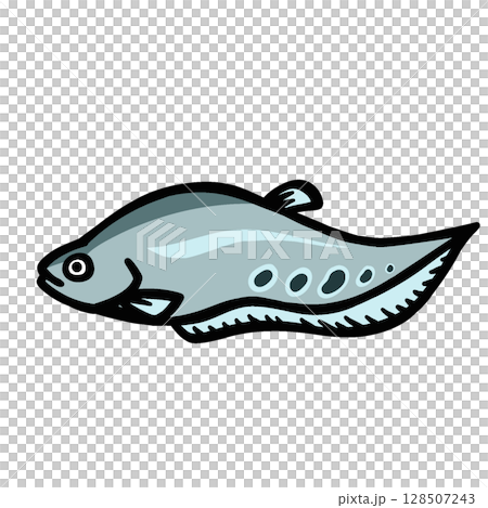 シンプルなナイフフィッシュのイラスト 128507243