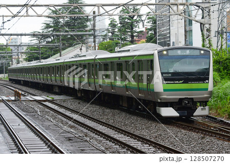 E233系6000番台クラ028編成横浜線 山手貨物線内 東京総合車両センター出場 E233系6000番台クラ028編成横浜線 山手貨物線内 東京総合車両センター出場 128507270
