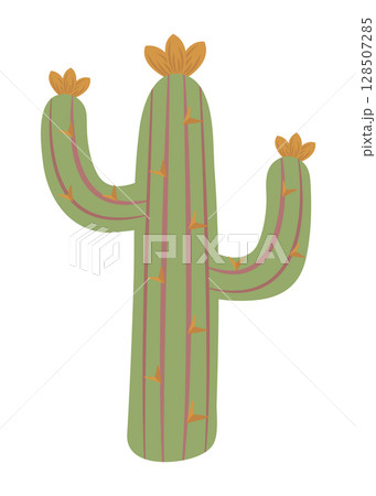 Cactus in boho style, color vector illustration of wild west 128507285